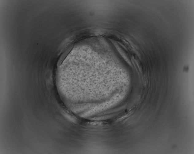 X0000089380524200707131701