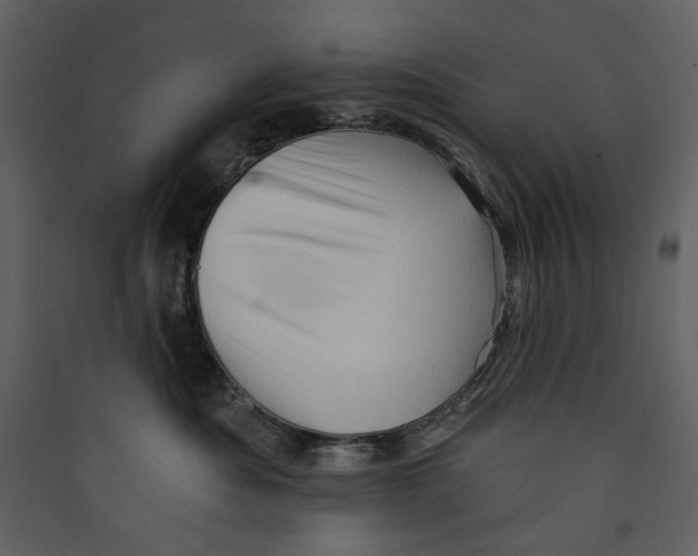 X0000089380525200707131701