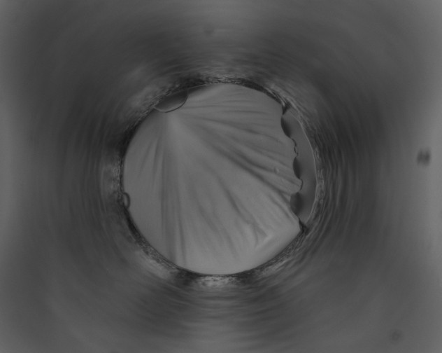 X0000089380526200707131701