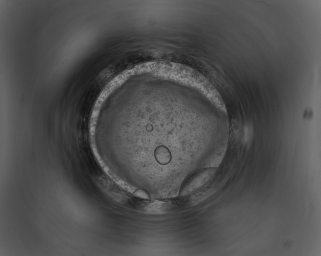 X0000089380527200707131701