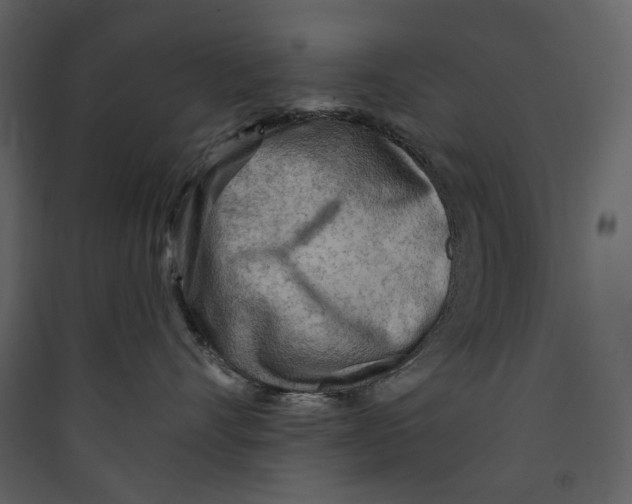 X0000089380528200707131701