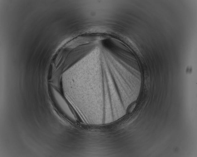 X0000089380530200707131700