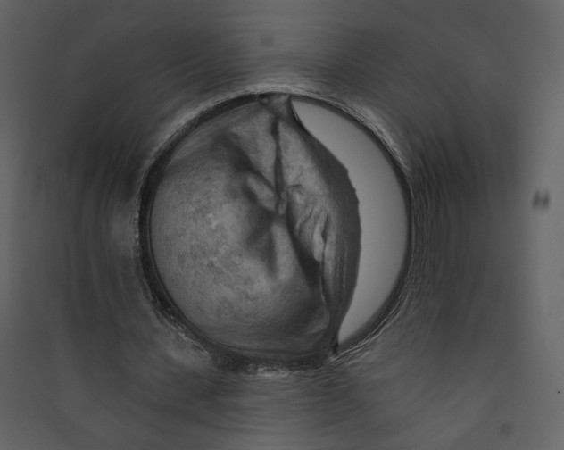 X0000089380531200707131700