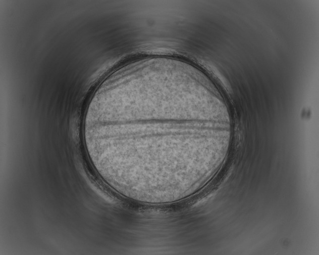 X0000089380533200707131700