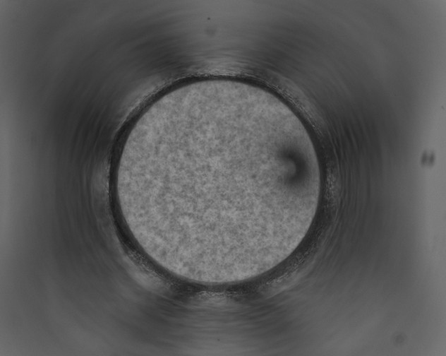 X0000089380534200707131700