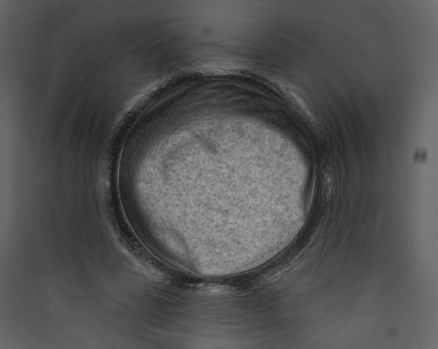 X0000089380539200707131700