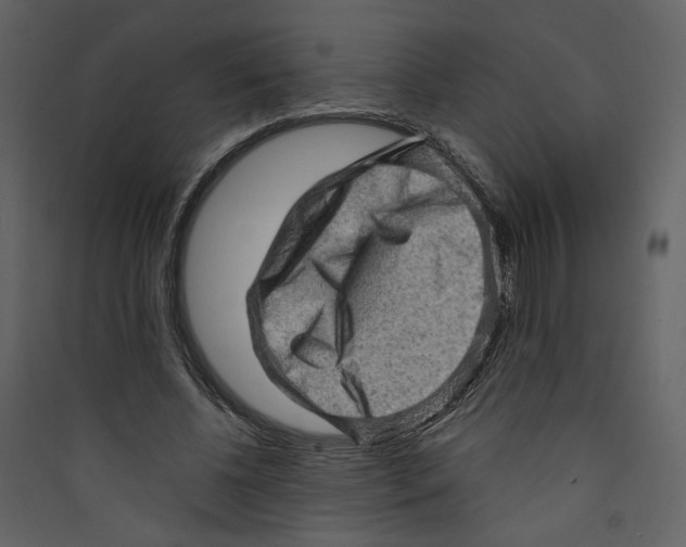 X0000089380540200707131700