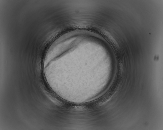 X0000089380541200707131700