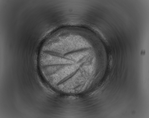 X0000089380542200707131700