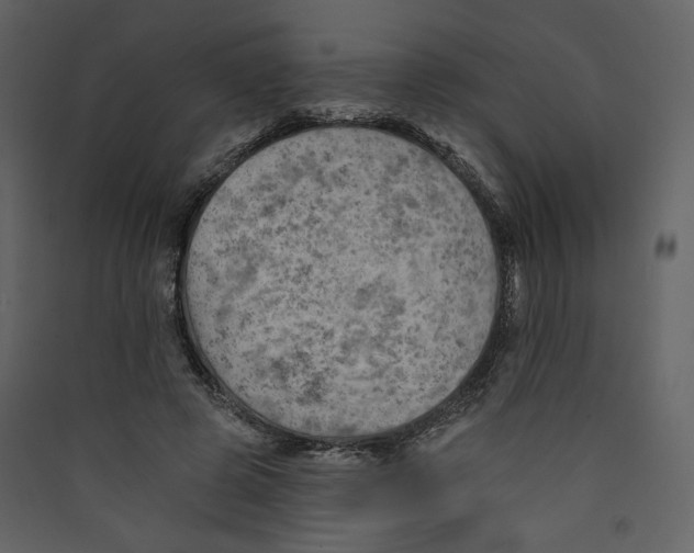 X0000089380545200707131700