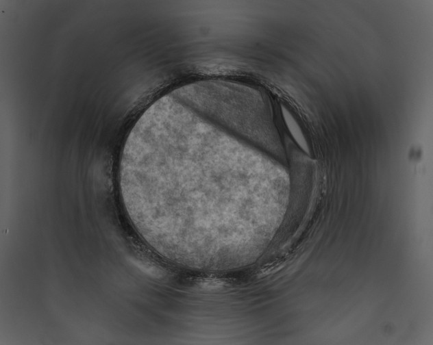 X0000089380547200707131700