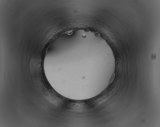 X0000089380548200707131700