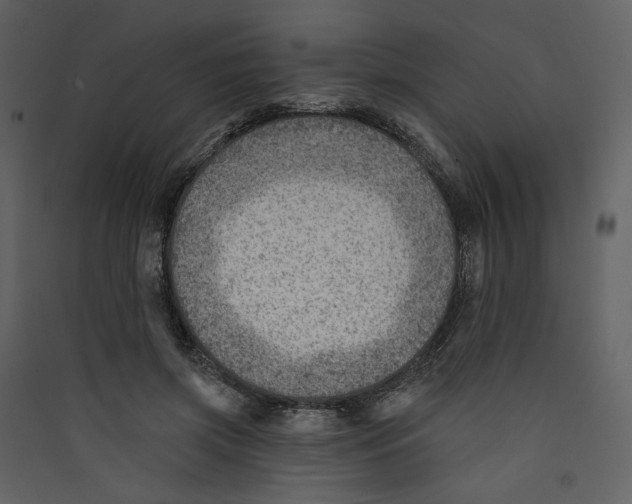 X0000089380549200707131700