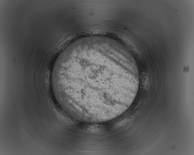 X0000089380550200707131700