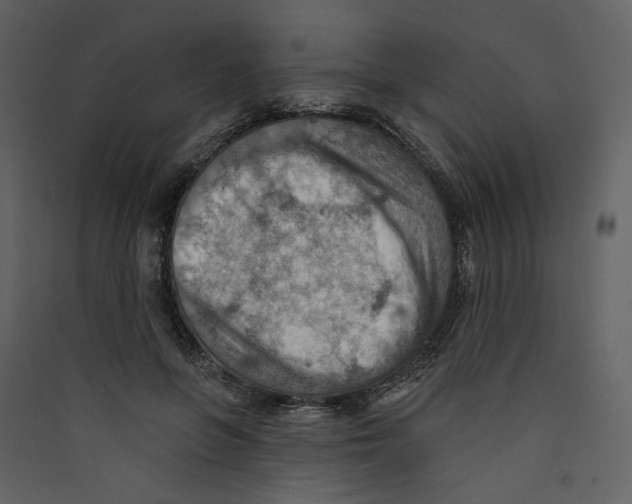 X0000089380551200707131700