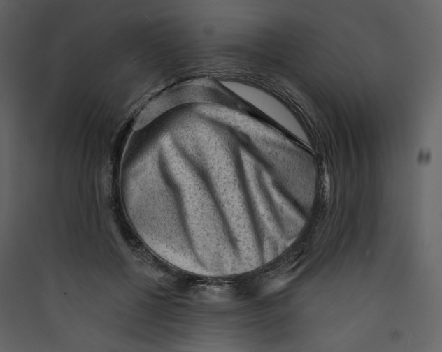 X0000089380552200707131700