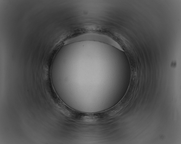 X0000089380556200707131700