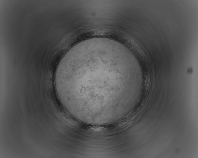 X0000089380557200707131700