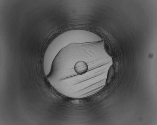 X0000089380558200707131700