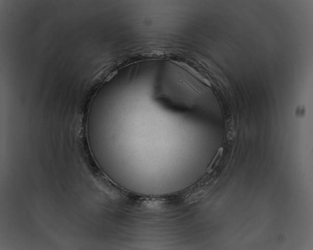 X0000089380560200707131700