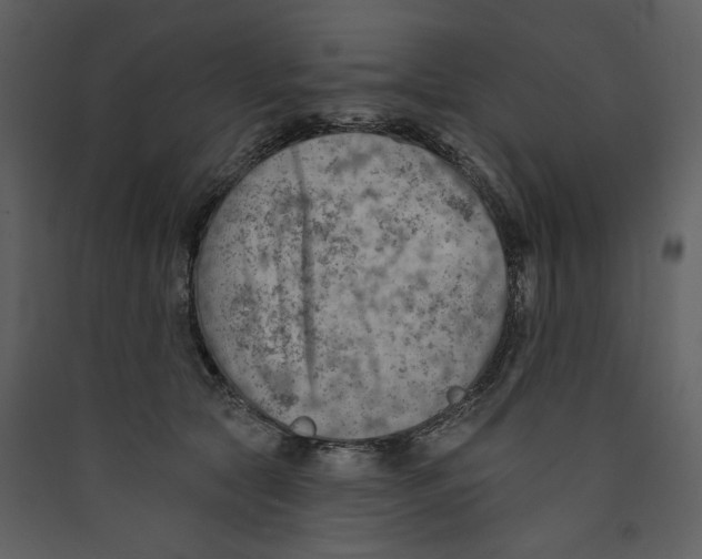 X0000089380561200707131700