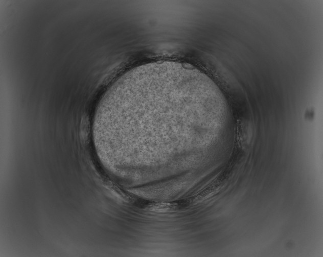 X0000089380563200707131701