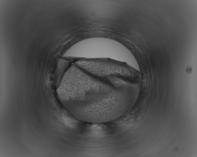 X0000089380566200707131701