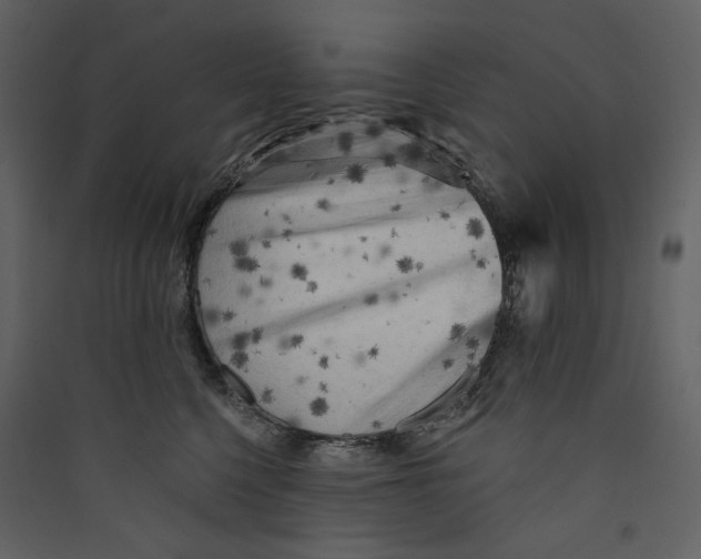 X0000089380568200707131701