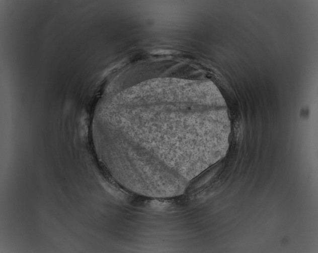 X0000089380570200707131701