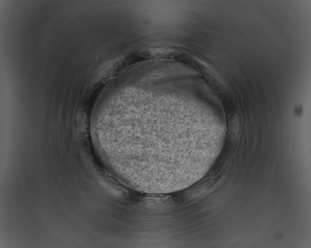 X0000089380571200707131701