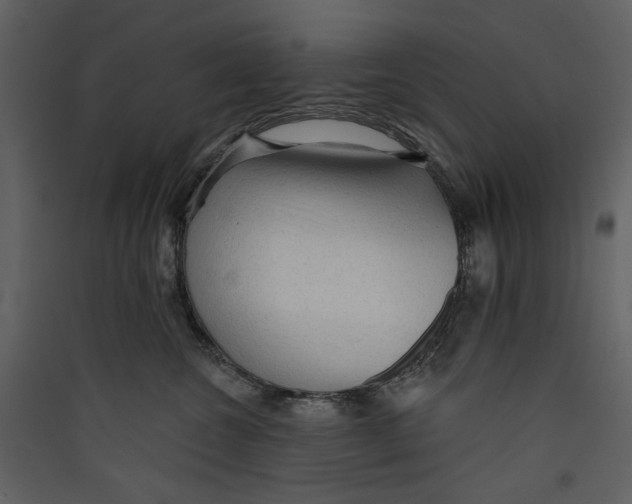 X0000089380572200707131701