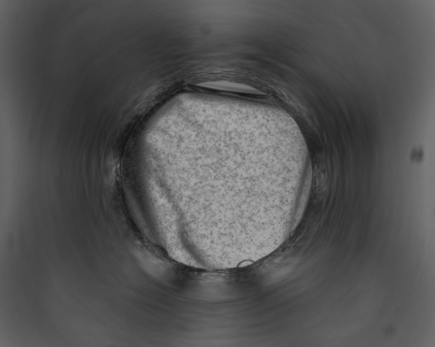 X0000089380574200707131701