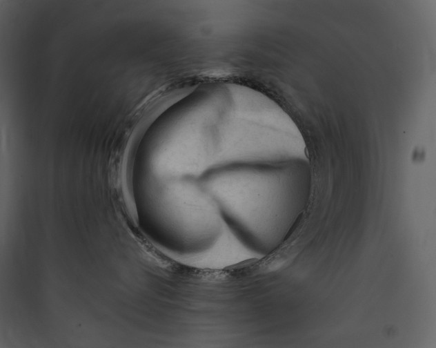 X0000089380576200707131701