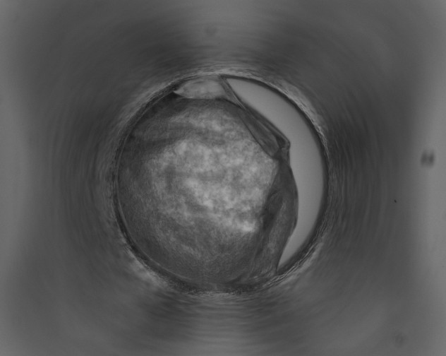 X0000089380577200707131700