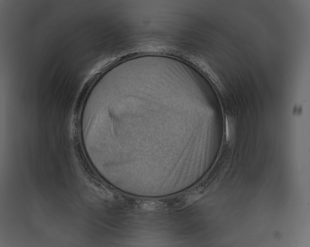 X0000089380579200707131700