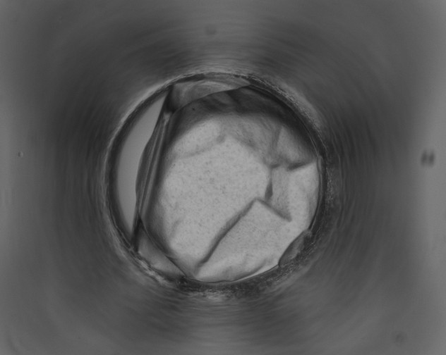 X0000089380580200707131700