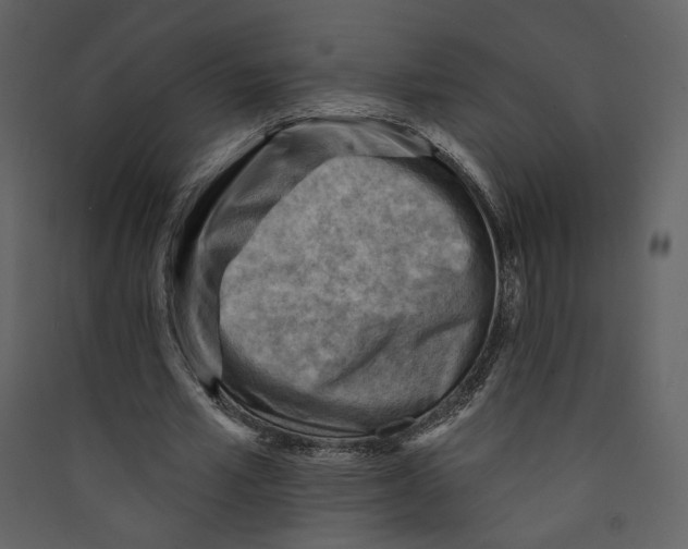 X0000089380581200707131700