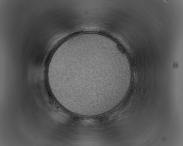 X0000089380583200707131700