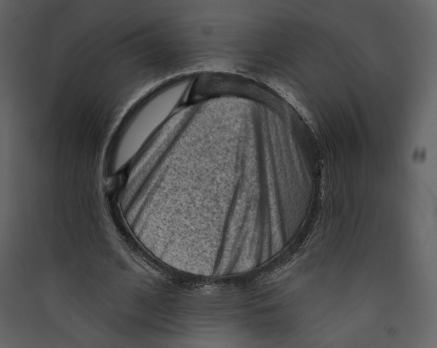 X0000089380584200707131700