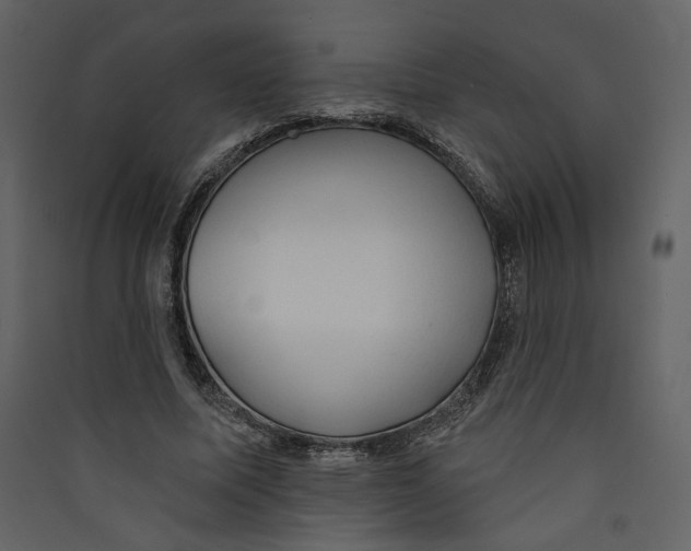 X0000089380587200707131700