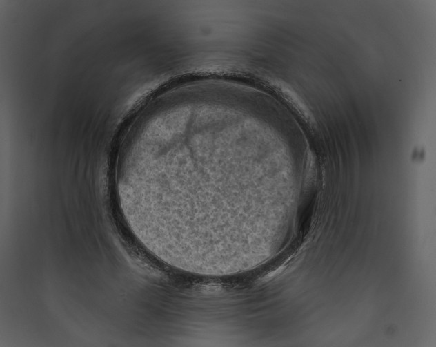 X0000089380588200707131700