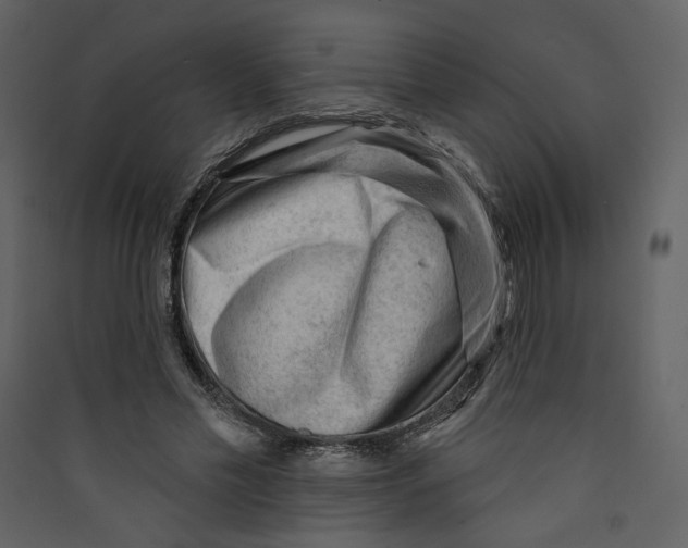 X0000089380589200707131700