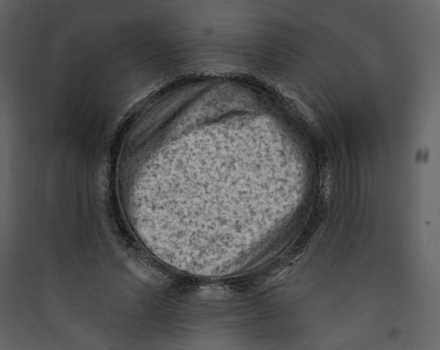 X0000089380591200707131700