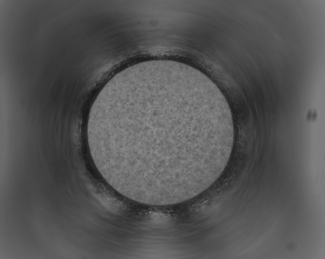 X0000089380592200707131700