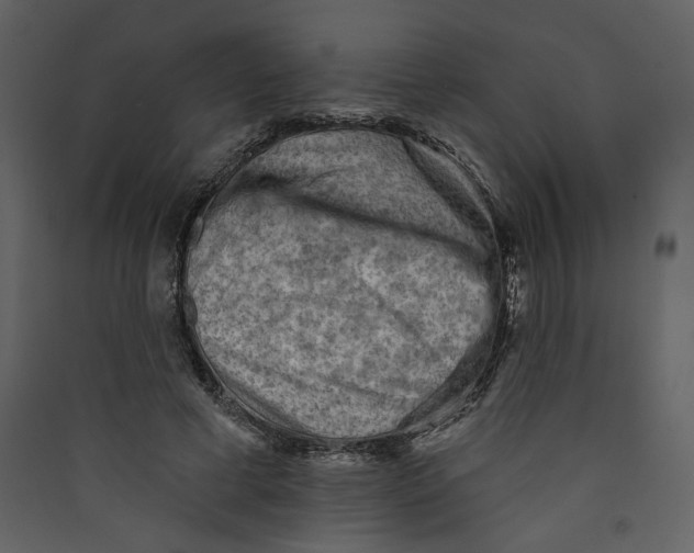 X0000089380593200707131700