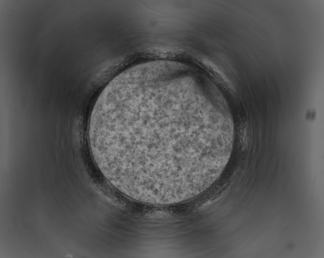 X0000089380594200707131700