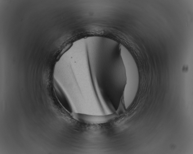 X0000089380600200707131700