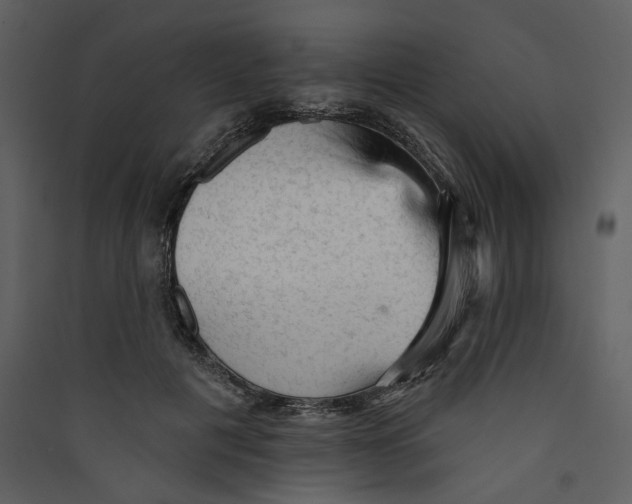 X0000089380601200707131700