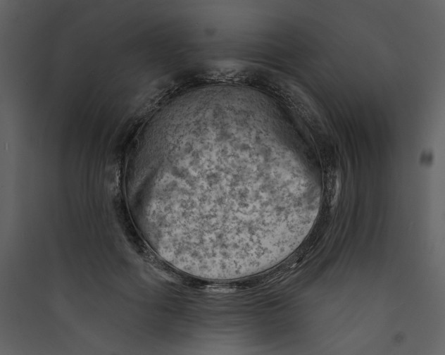 X0000089380602200707131700