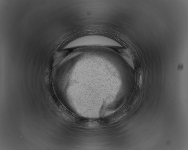 X0000089380604200707131700